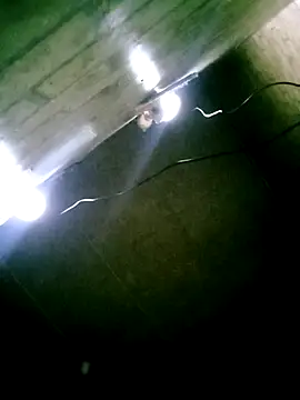 Apeesynka55211 online show from 14, 3, 2026