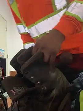 Snapshot of UrfavDilf69 chatting on 11, 11, 2025 UrfavDilf69 online show from 11, 11, 2025