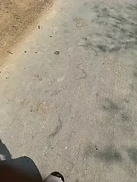 PEEHU-50 online show from 7, 3, 2026