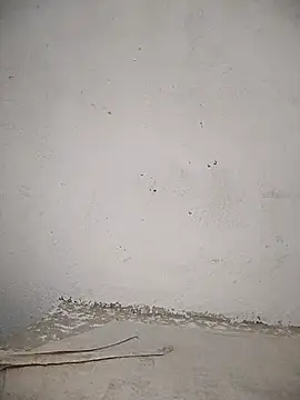 PEEHU-50 online show from 12, 11, 2025