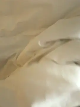 HenryLee1983-cums online show from 28, 11, 2025