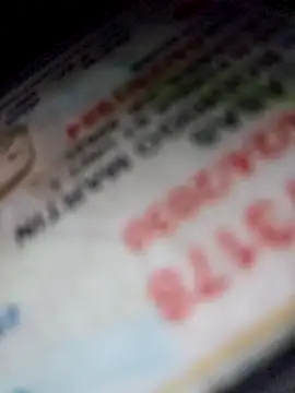 Roddog18 online show from 18, 4, 2026