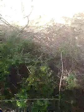 Aadityaaa07 online show from 11, 4, 2026