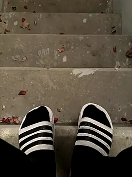 max22palm online show from 6, 11, 2025