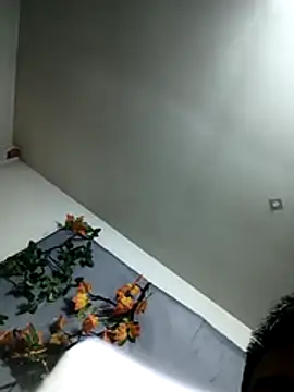 zghn88 online show from 22, 11, 2025