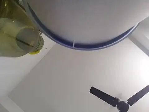 amanWildstalion online show from 19, 3, 2026