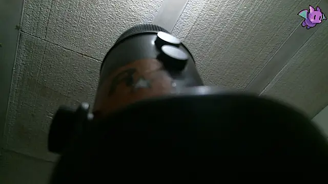 Dickie Dicking online show from 11, 2, 2026