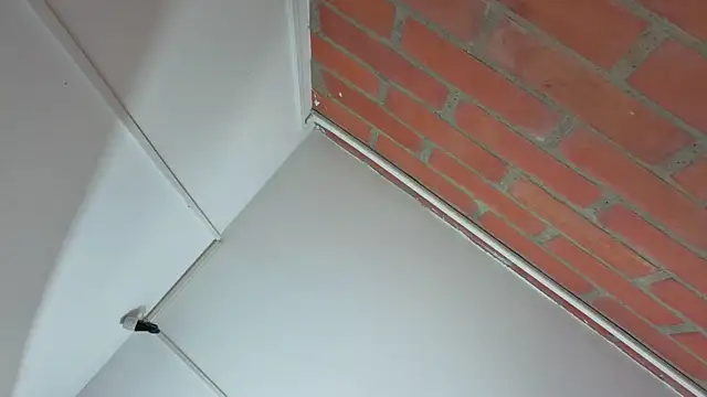 Zoe Blond online show from 25, 11, 2025