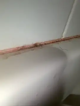 StroknGoon69 online show from 4, 11, 2025