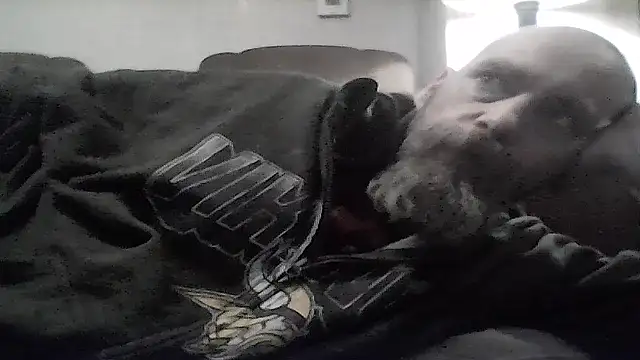 crazyheratic8 online show from 17, 1, 2026