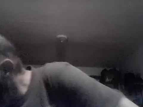 crazyheratic8 online show from 13, 11, 2025