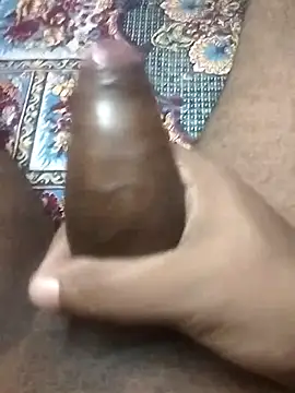 jeet 00 online show from 5, 11, 2025