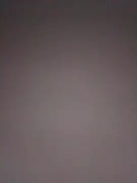 JNTre online show from 28, 2, 2026