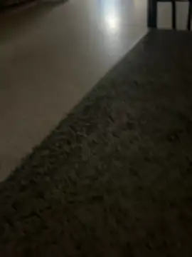 nice686xh online show from 30, 11, 2025