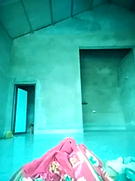 sukanaka99 online show from 27, 11, 2025