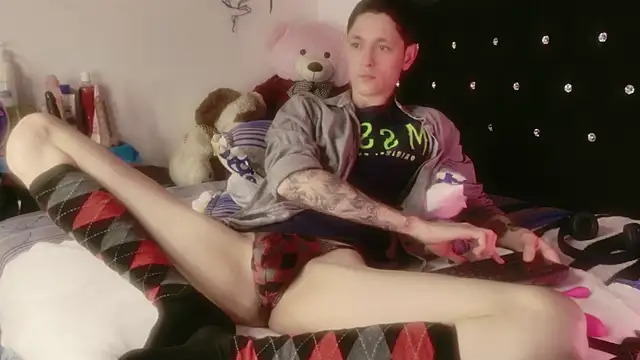 Tyler cat online show from 14, 4, 2026