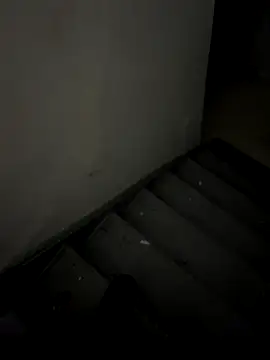 ayrtonmen online show from 14, 11, 2025