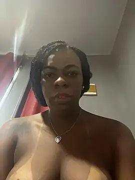 Priihmedeiros online show from 14, 4, 2026