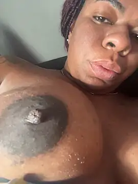 Priihmedeiros online show from 22, 11, 2025