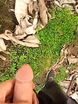 Sikici0734 online show from 12, 1, 2026