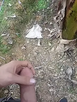 Sikici0734 online show from 11, 1, 2026