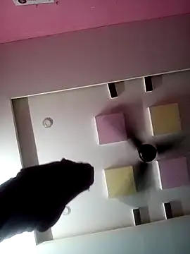 supcpl online show from 1, 2, 2026