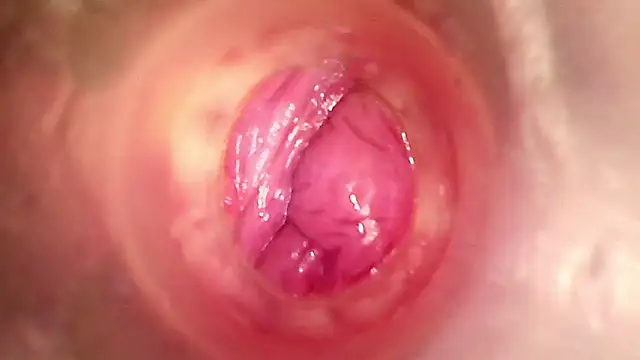 shannon kinne  online show from 15, 1, 2026