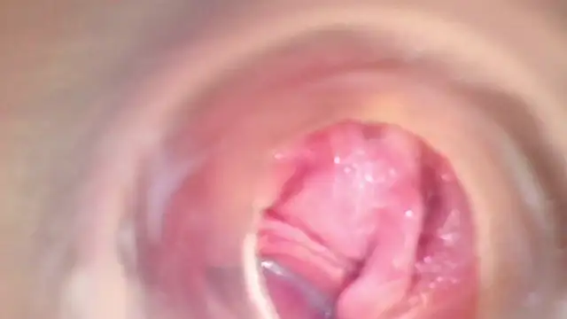 shannon kinne  online show from 22, 11, 2025