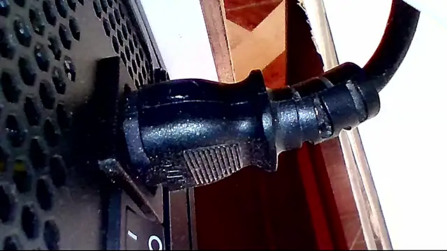 shannon kinne  online show from 3, 12, 2025