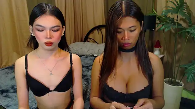 TWINKTRANSSHANEL online show from 12, 10, 2025