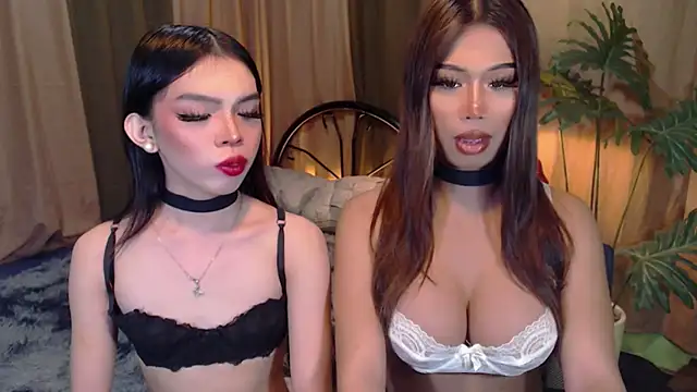 TWINKTRANSSHANEL online show from 6, 10, 2025