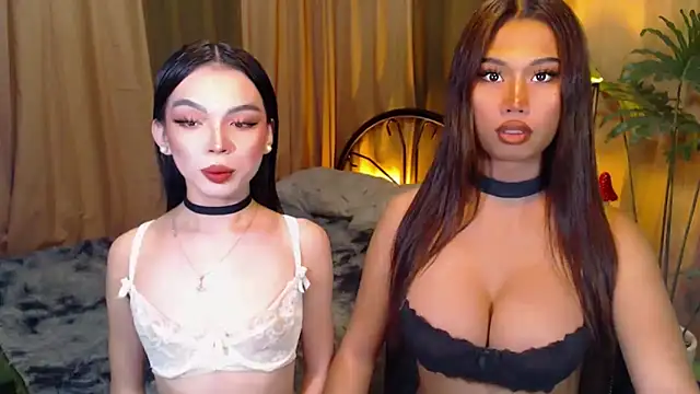 TWINKTRANSSHANEL online show from 8, 10, 2025