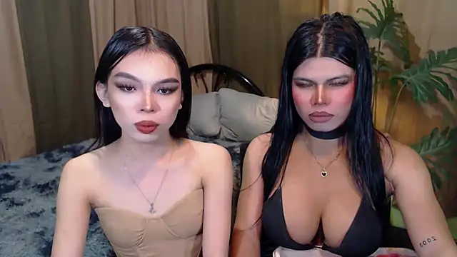 TWINKTRANSSHANEL online show from 17, 10, 2025