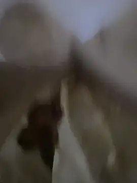 Snapshot of Moro-89 chatting on 5, 4, 2026 Moro-89 online show from 5, 4, 2026