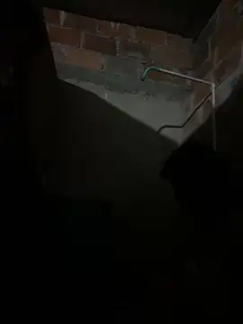 lady and charly online show from 7, 2, 2026