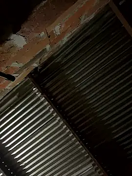 lady and charly online show from 19, 1, 2026