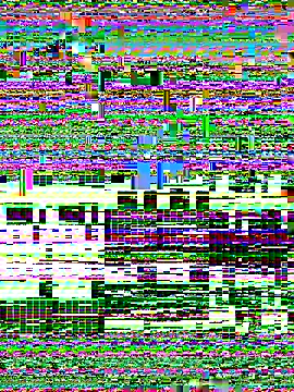 Rose monroee online show from 13, 11, 2025