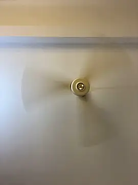 Nhefertary online show from 4, 3, 2026