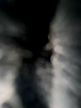 Neilhot98 online show from 7, 10, 2025