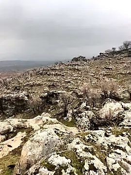 Snapshot of Sert_erkek21_ysm chatting on 2, 2, 2026 Sert erkek21 ysm online show from 2, 2, 2026