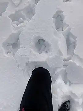 Snapshot of Sert_erkek21_ysm chatting on 6, 1, 2026 Sert erkek21 ysm online show from 6, 1, 2026