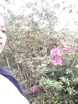 sumaybae online show from 3, 3, 2026