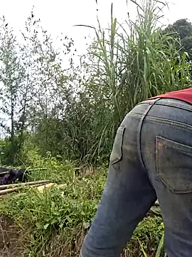 miomio-12 online show from 25, 3, 2026