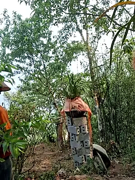 miomio-12 online show from 15, 4, 2026