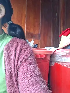 miomio-12 online show from 23, 2, 2026