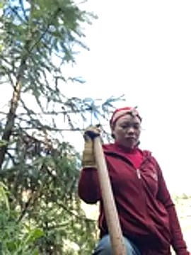 miomio-12 online show from 24, 11, 2025