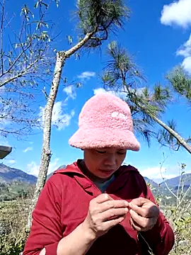 miomio-12 online show from 22, 12, 2025