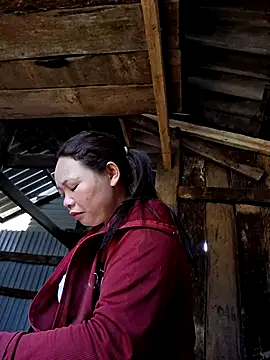 miomio-12 online show from 3, 4, 2026