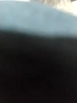 veintitres23 online show from 11, 11, 2025