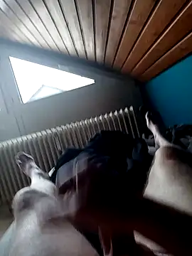 ImperlPerverso59 online show from 17, 10, 2025